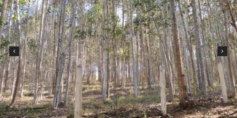 Imagem Chácara com 8 Quartos à Venda, 800 m² em Centro - Santa Isabel