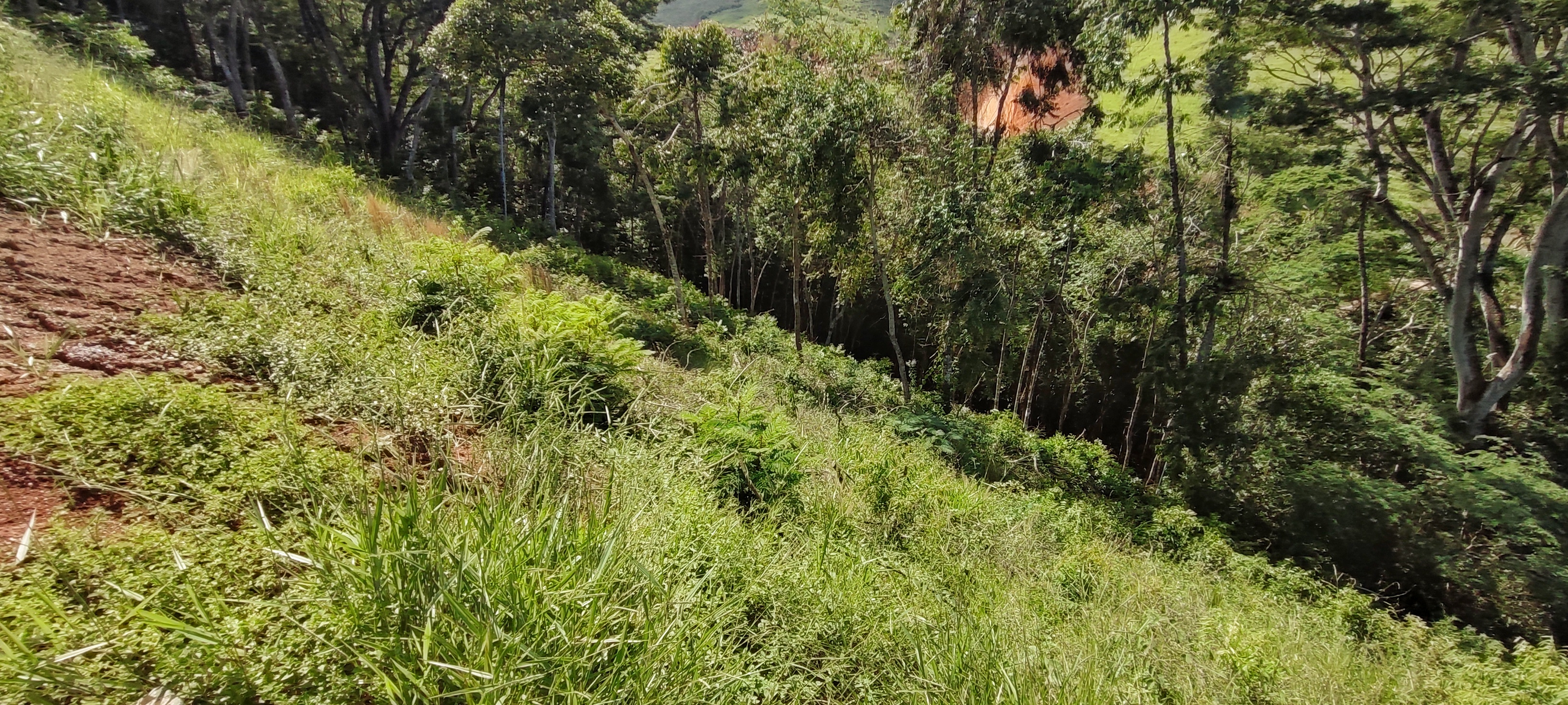 Imagem Terreno à Venda, 2.453 m² em Areal - Areal