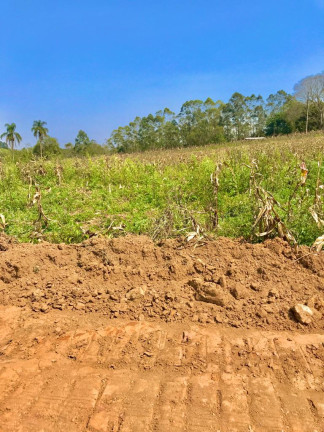 Imagem Terreno em Condomínio à Venda, 1.000 m² em Centro - Alfredo Marcondes