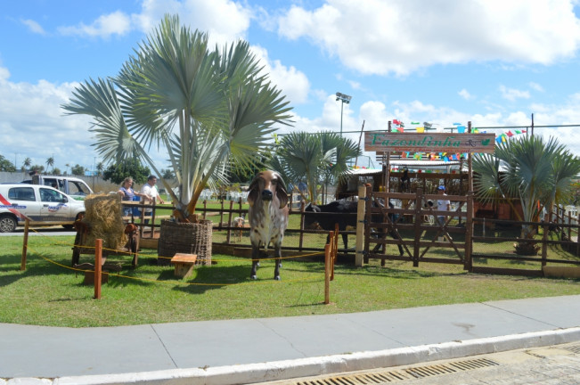 Imagem Terreno à Venda, 382 m² em Aruana - Aracaju