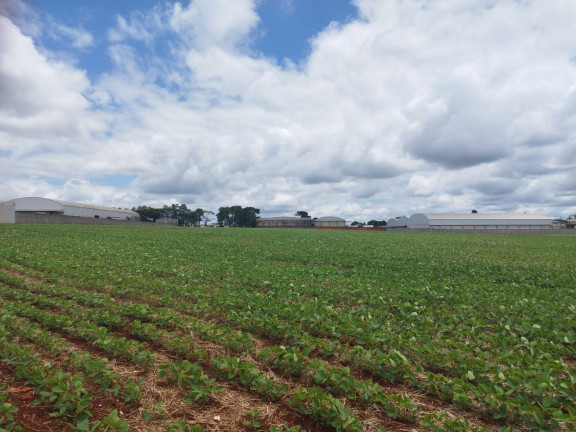 Imagem Terreno à Venda,  em Vila Industrial - Arapongas