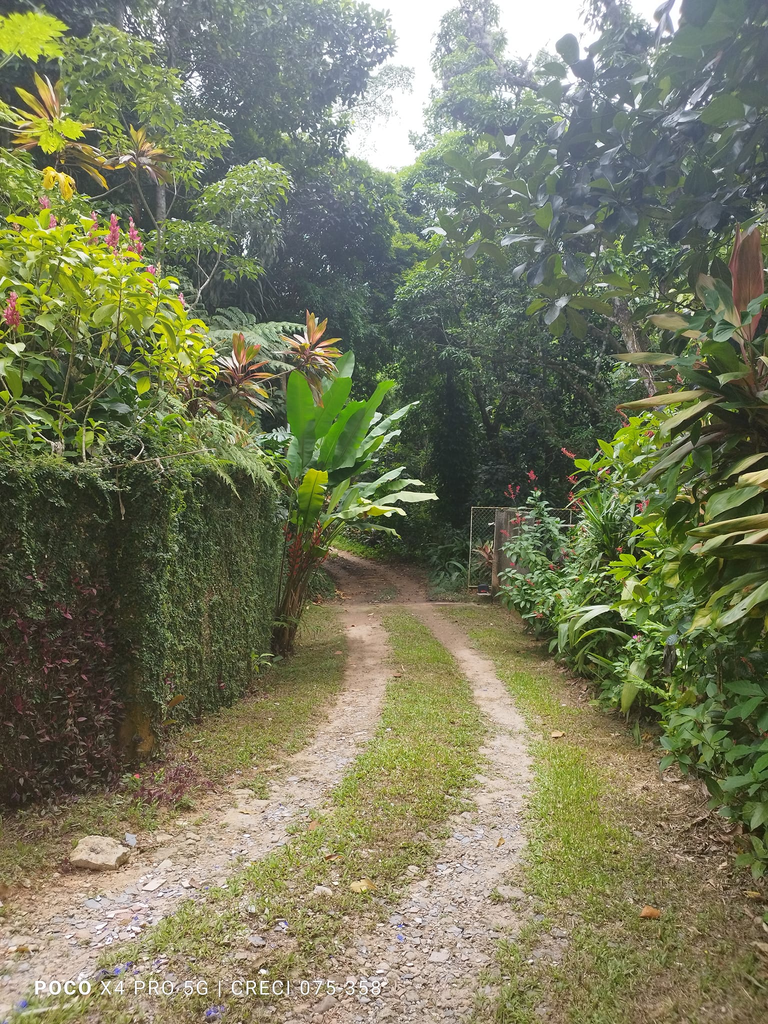 Imagem Chácara com 6 Quartos à Venda, 8 m²em Jacarepaguá - Rio de Janeiro