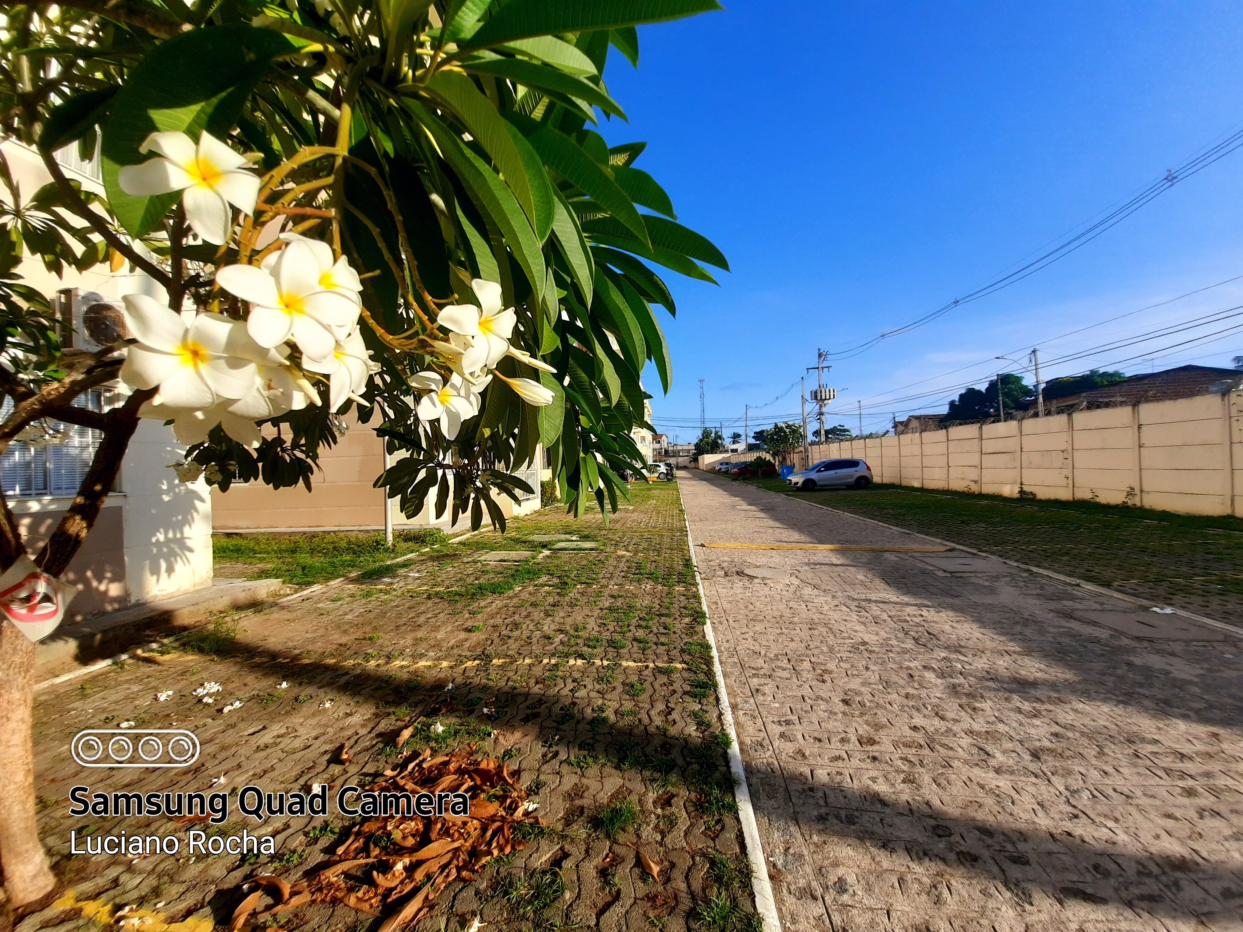 Imagem Apartamento com 3 Quartos para Alugar, 60 m²em Candeias - Jaboatão dos Guararapes
