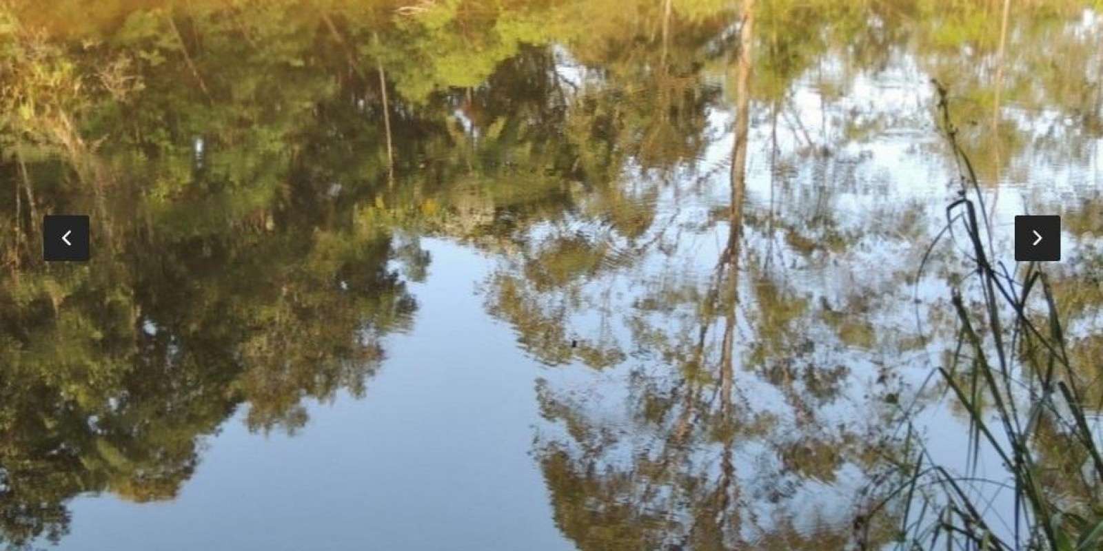 Imagem Chácara com 8 Quartos à Venda,  em Centro - Santa Isabel