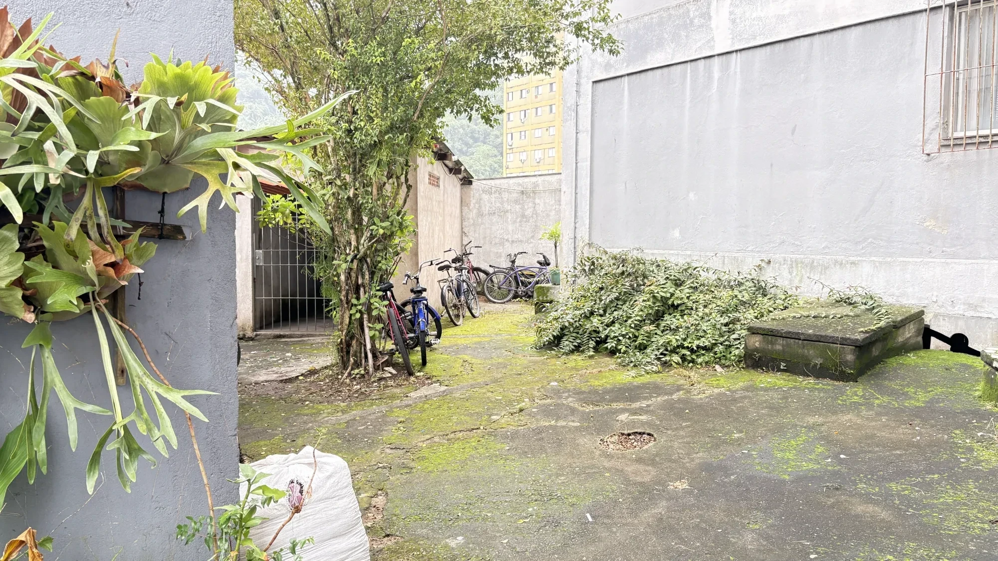 Imagem Apartamento com 2 Quartos à Venda ou Locação, 58 metros em Saboó - Santos
