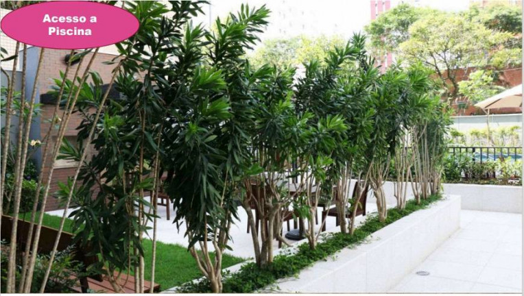 Imagem Apartamento com 2 Quartos à Venda, 53 m² em Jardim Vila Mariana - São Paulo