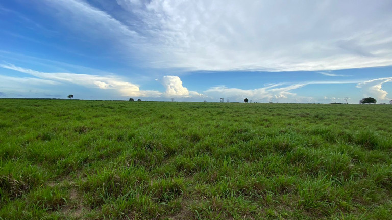 Imagem Fazenda à Venda, 455 HA em zona Rural - Santarém Novo