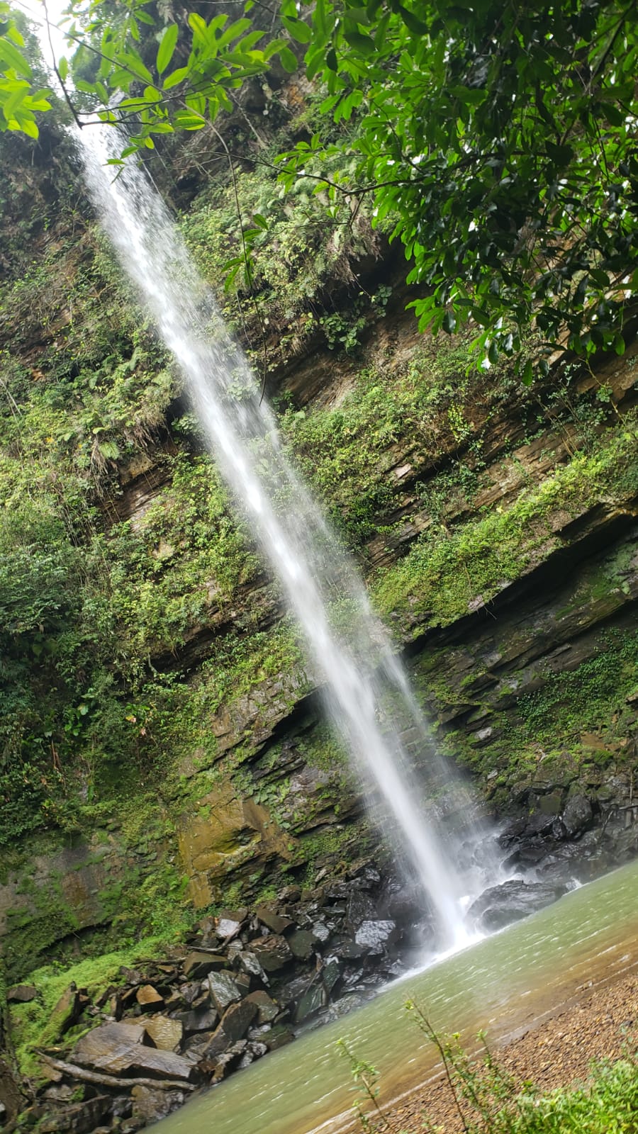 Foto do imóvel: Chácara com 2 Quartos à Venda, 20.000 m² em Capivaras Alta - Grão Pará