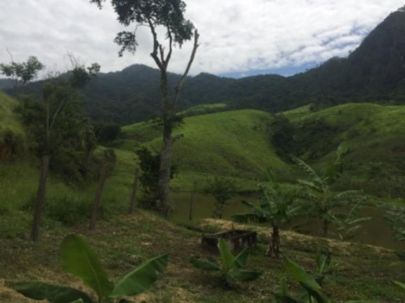 Imagem Fazenda à Venda, 20.000 m² em Vila Pontilhão - Cruzeiro