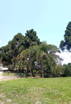 Imagem Chácara com 2 Quartos à Venda, 12.350 m² em RIBEIRÃOZINHO - Agudos do Sul