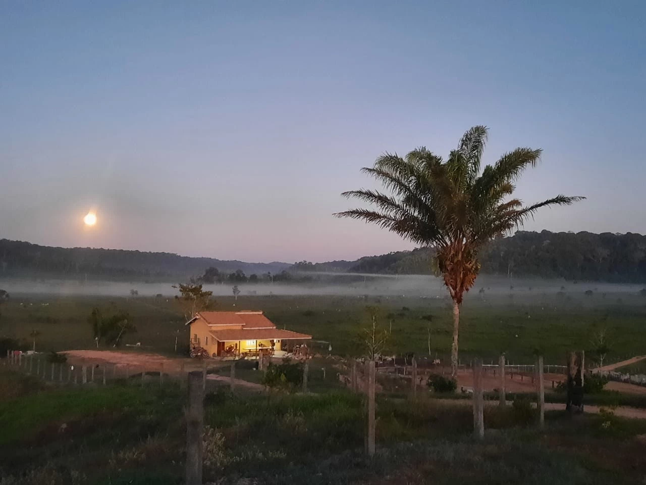 Foto do imóvel: Fazenda à Venda, 831 Alq. GO em Gurupá - Gurupá