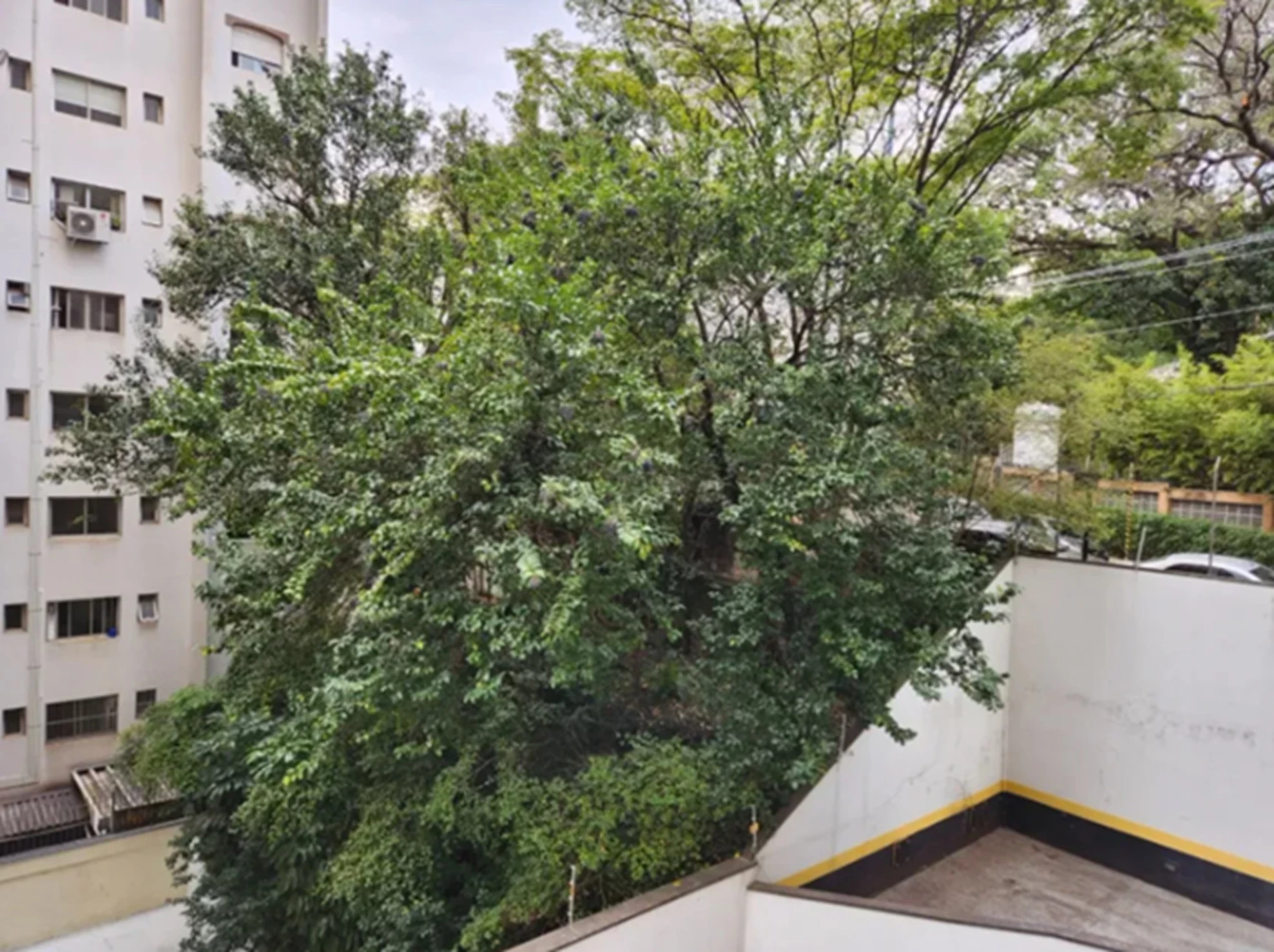 Imagem Apartamento com 3 Quartos à Venda, 148 m² em Cerqueira César - São Paulo