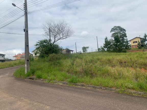 Imagem Terreno à Venda,  em Linha Anta - Criciúma