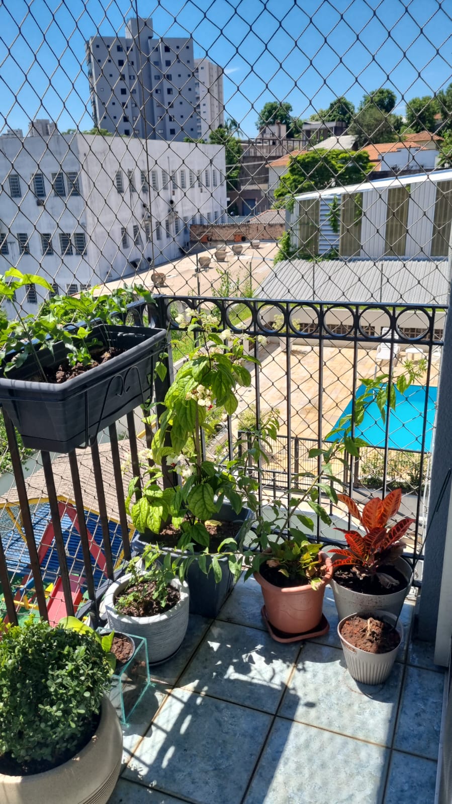 Imagem Apartamento com 2 Quartos à Venda, 60 m²em Saúde - São Paulo