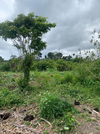 Imagem Fazenda à Venda, 837 HA em Área Rural de Santarém - Santarém