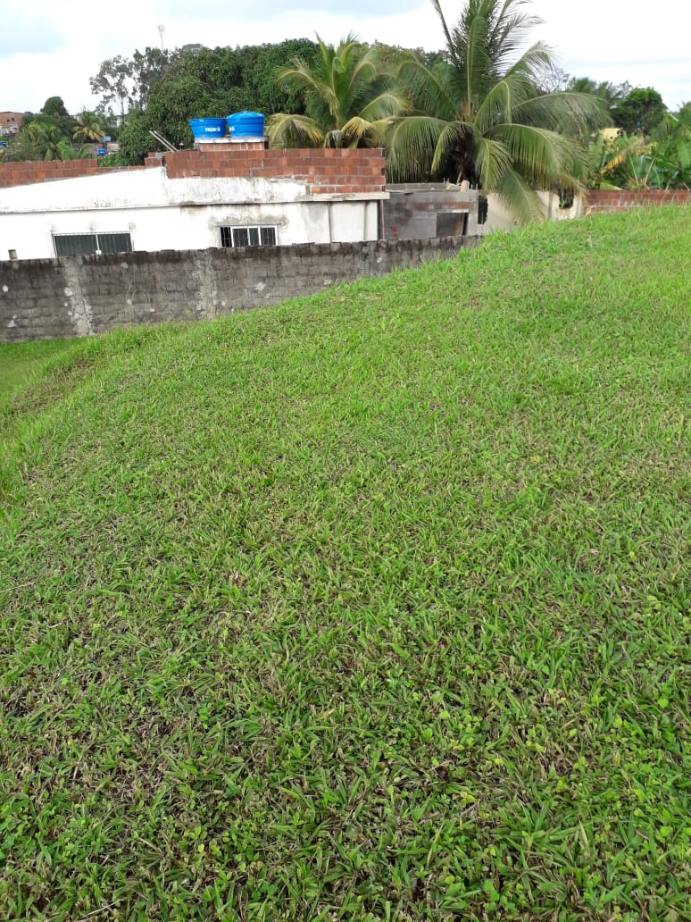 Imagem Casa com 4 Quartos à Venda, 42.400 m² em Fragoso - Olinda