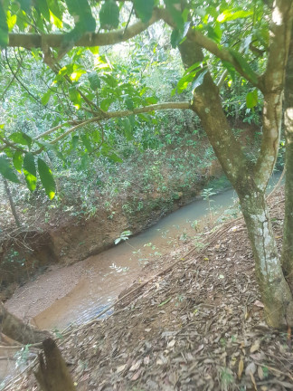 Imagem Fazenda à Venda,  em Área Rural - Padre Bernardo