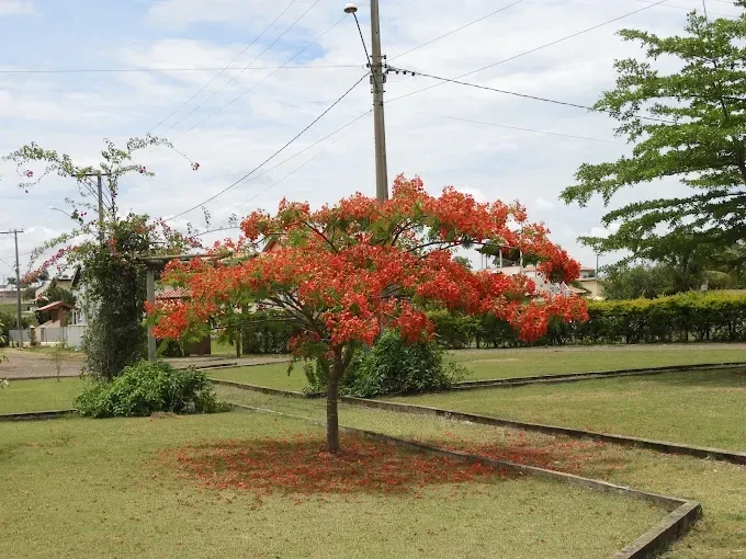 Imagem Terreno em Condomínio à Venda, 1037 m² em Área Rural de Porangaba - Porangaba