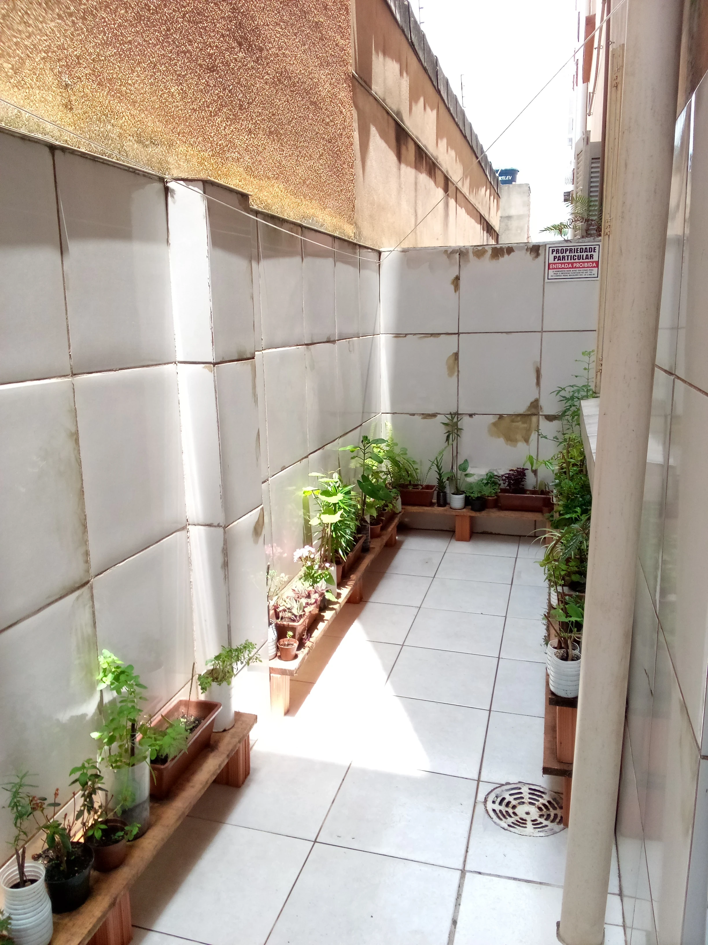 Imagem Apartamento com 1 Quarto à Venda, 38 m² em Bom Jesus - Porto Alegre
