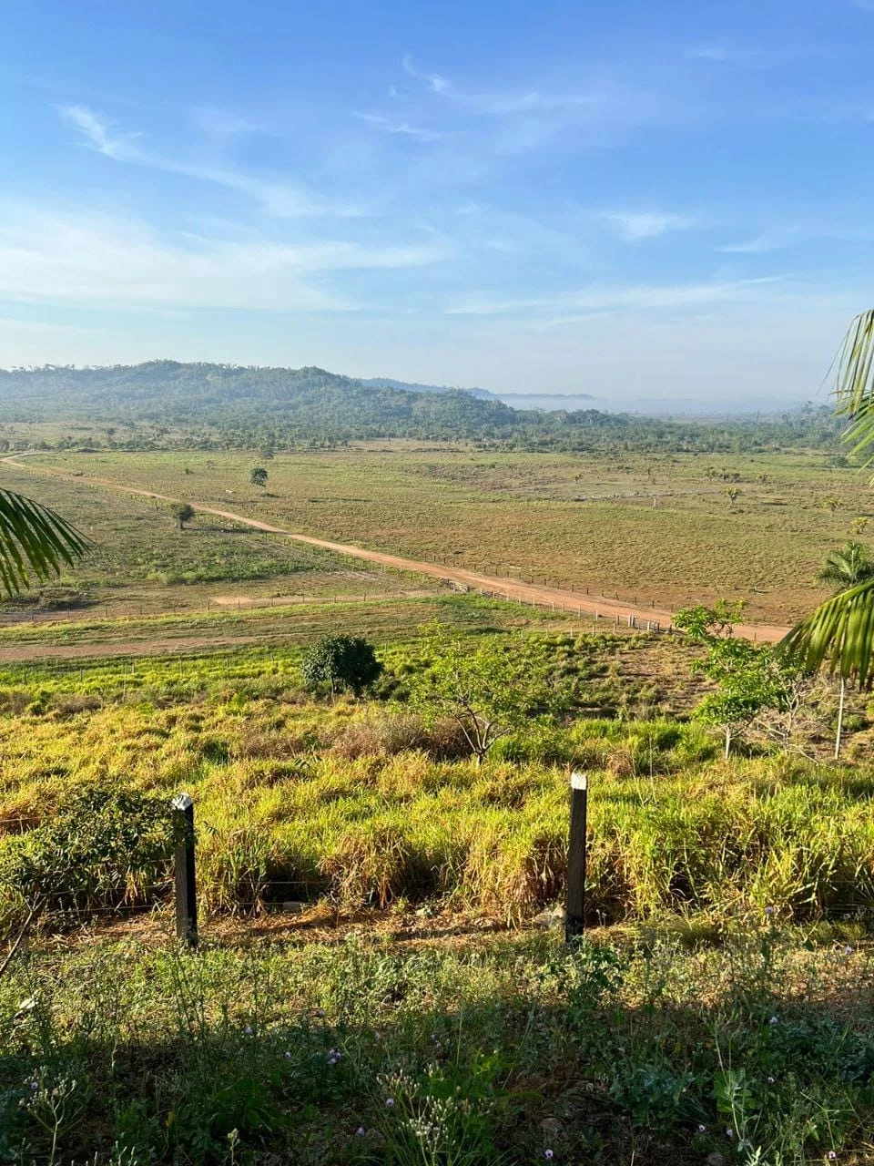 Foto do imóvel: Fazenda à Venda, 831 Alq. GO em Gurupá - Gurupá