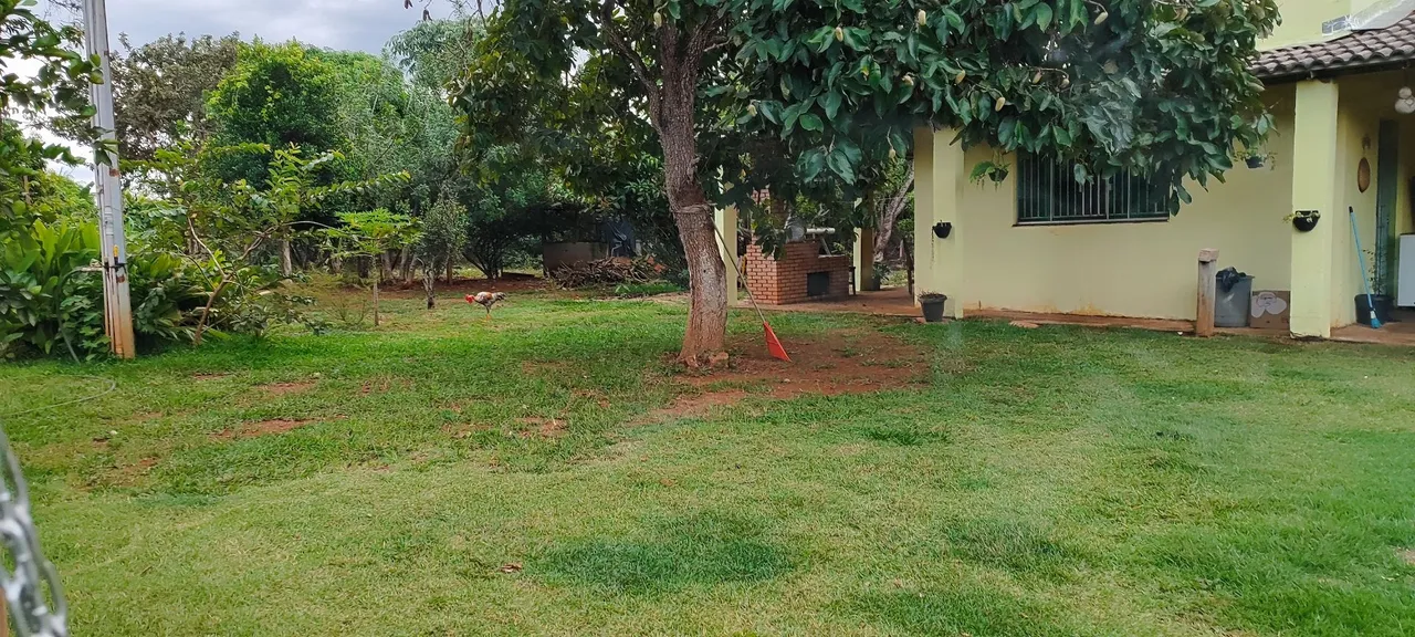 Imagem Chácara com 4 Quartos à Venda, 5.000 m² em Chácaras Marajoara - Luziânia