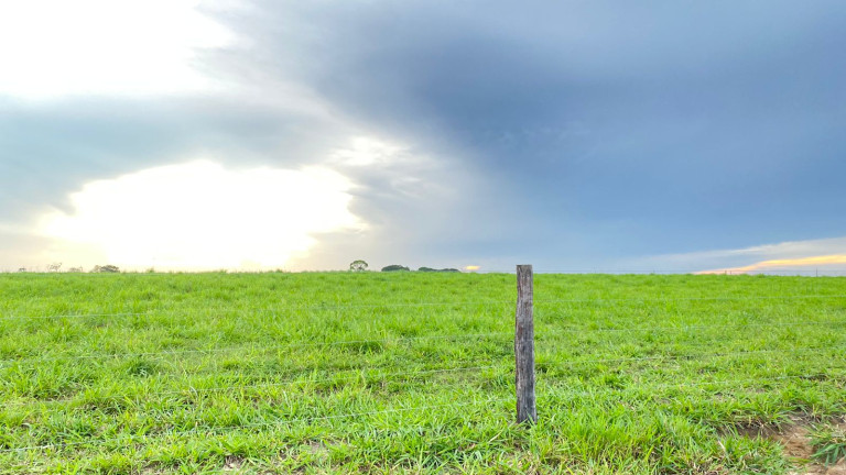 Imagem Fazenda à Venda, 455 HA em zona Rural - Santarém Novo