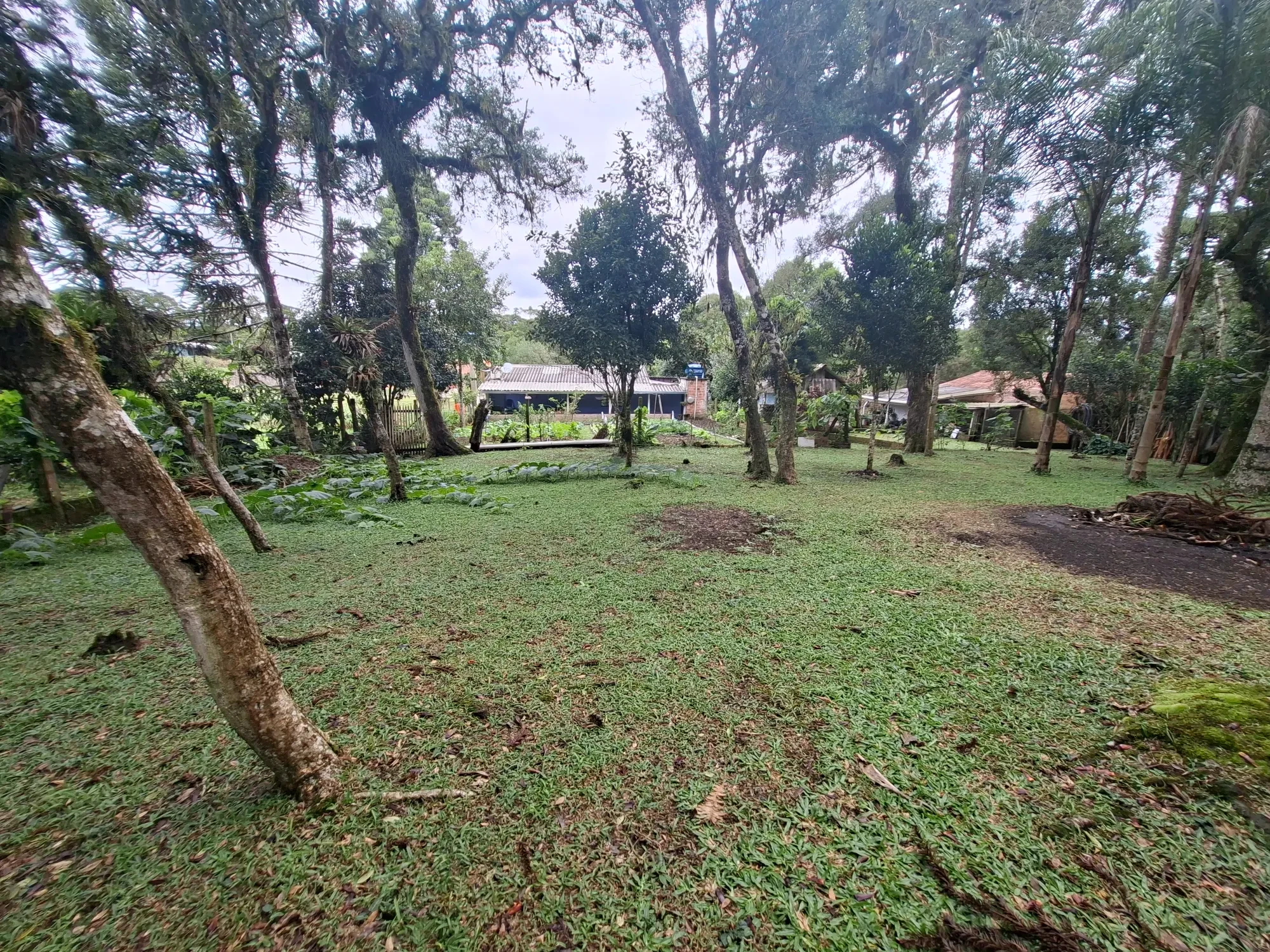 Imagem Chácara com 2 Quartos à Venda, 80 m² em Campo Alto - Tijucas do Sul