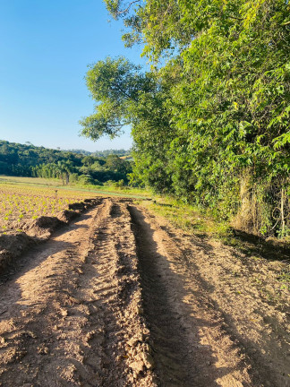 Imagem Terreno à Venda, 1.000 m² em Dona Catarina - Mairinque