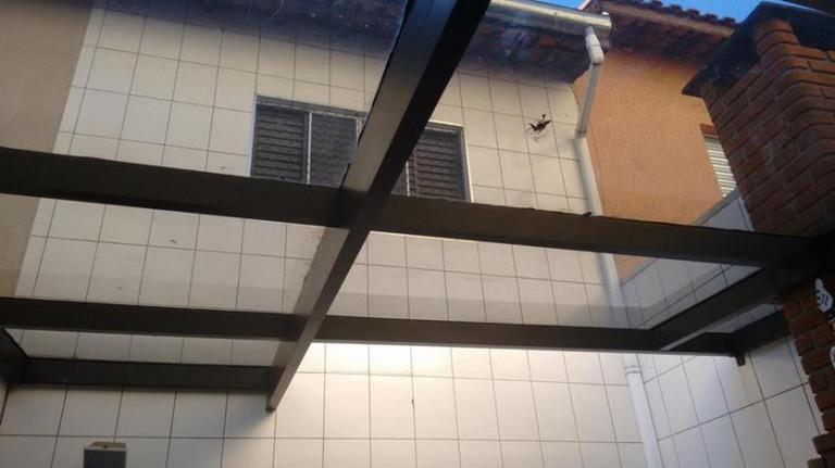 Imagem Sobrado com 2 Quartos à Venda, 72 m² em Vila Pierina - São Paulo