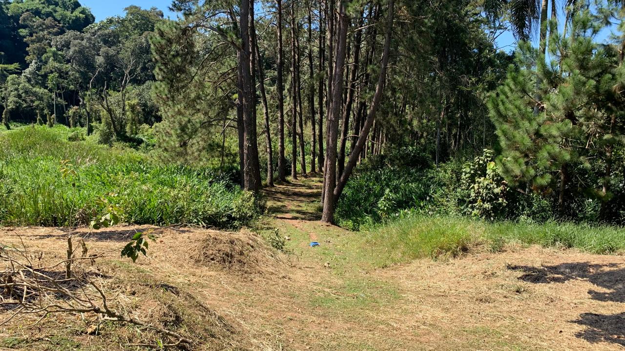 Imagem Terreno à Venda, 8 m²em Sabaúna - Mogi das Cruzes