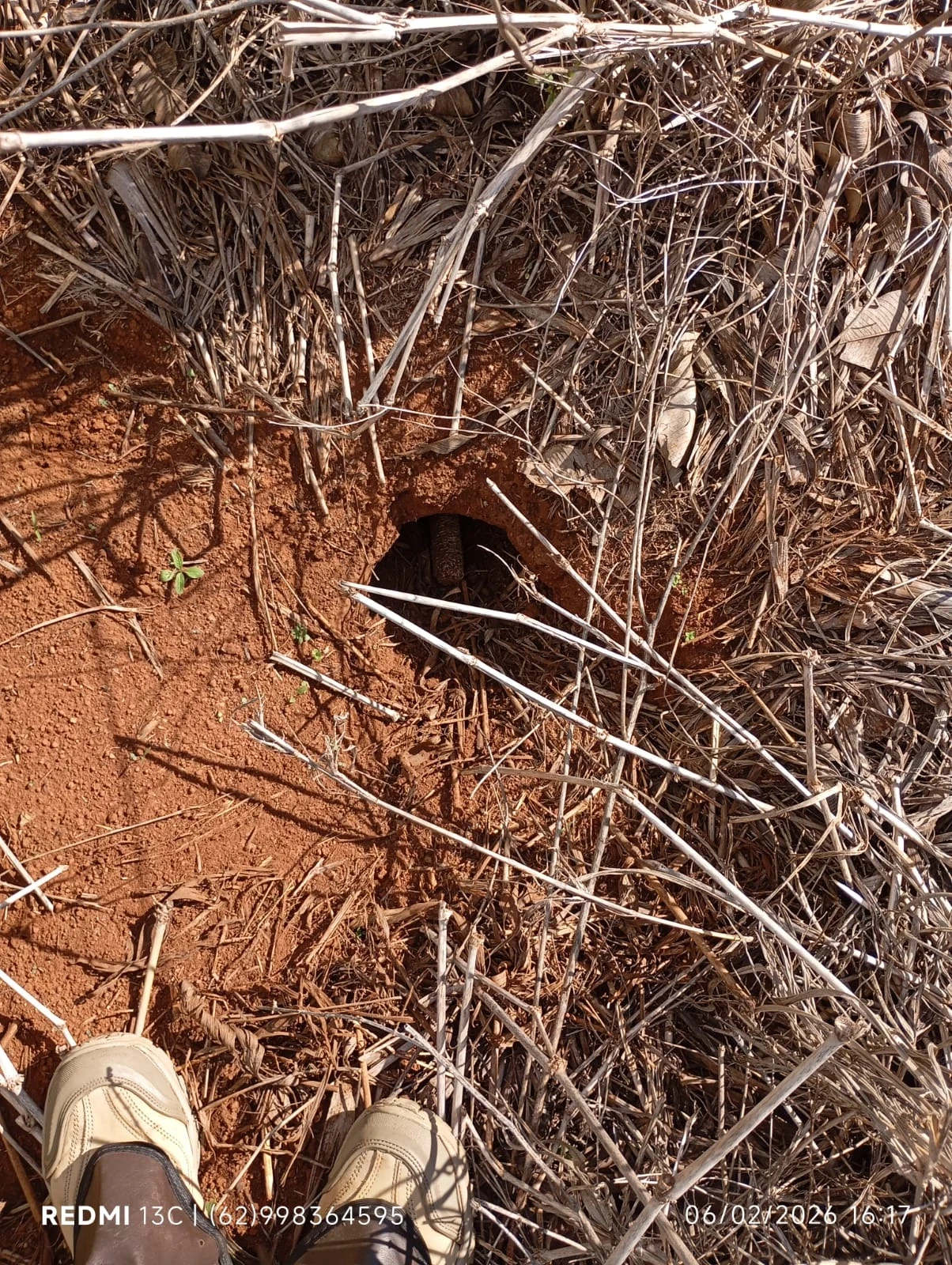 Imagem Fazenda à Venda, 6 Alq. GO em Acreúna - Acreúna