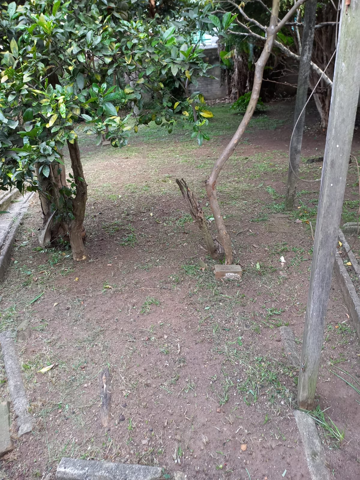 Foto do imóvel: Terreno à Venda, 600 m² em Portão - Curitiba