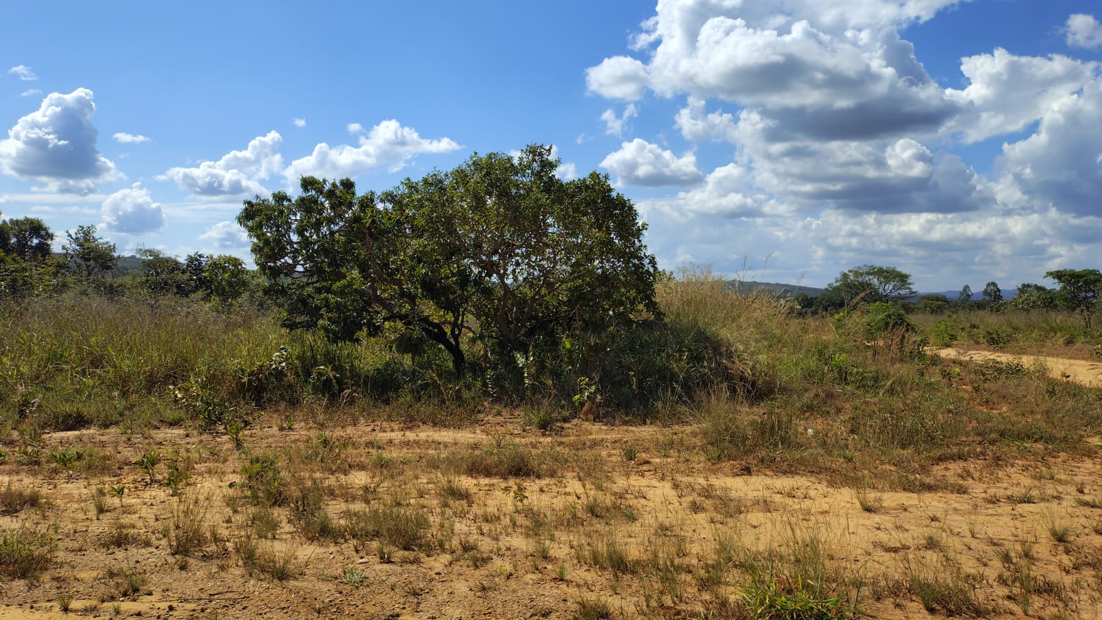 Imagem Terreno à Venda, 467 m² em  - 