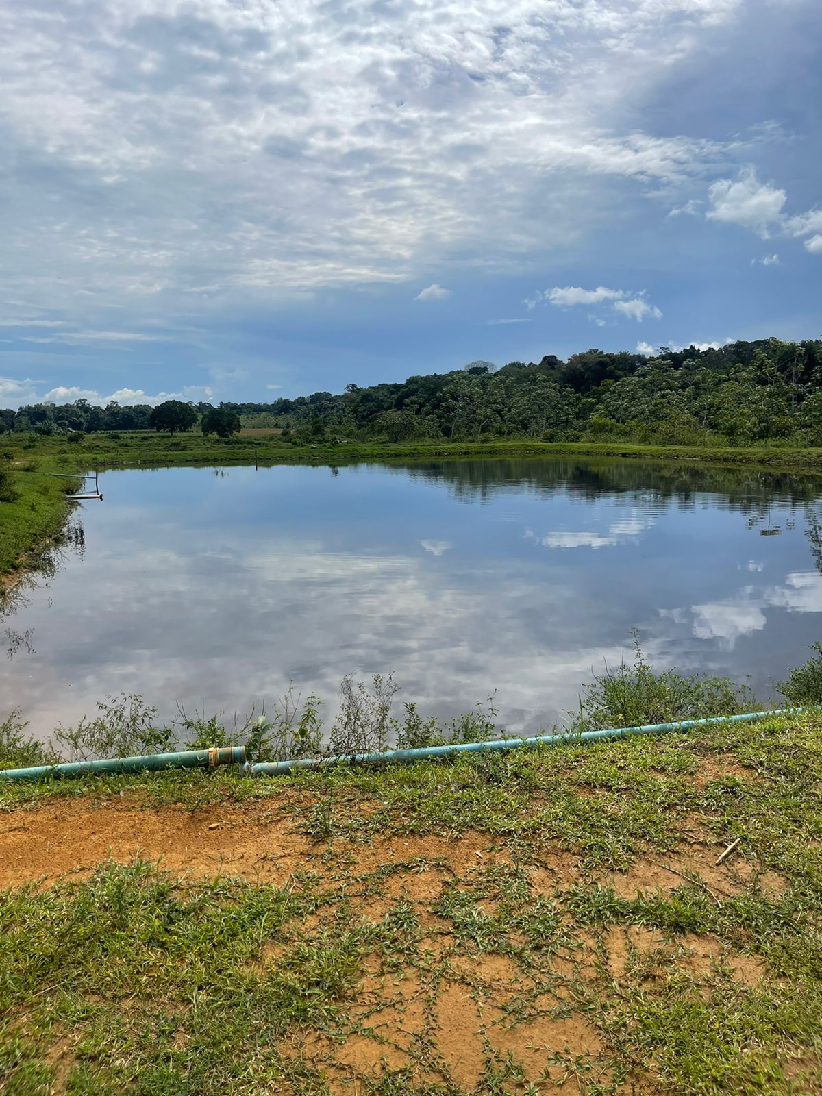 Imagem Terreno à Venda, 210.000 m²em Área Rural de Manacapuru - Manacapuru