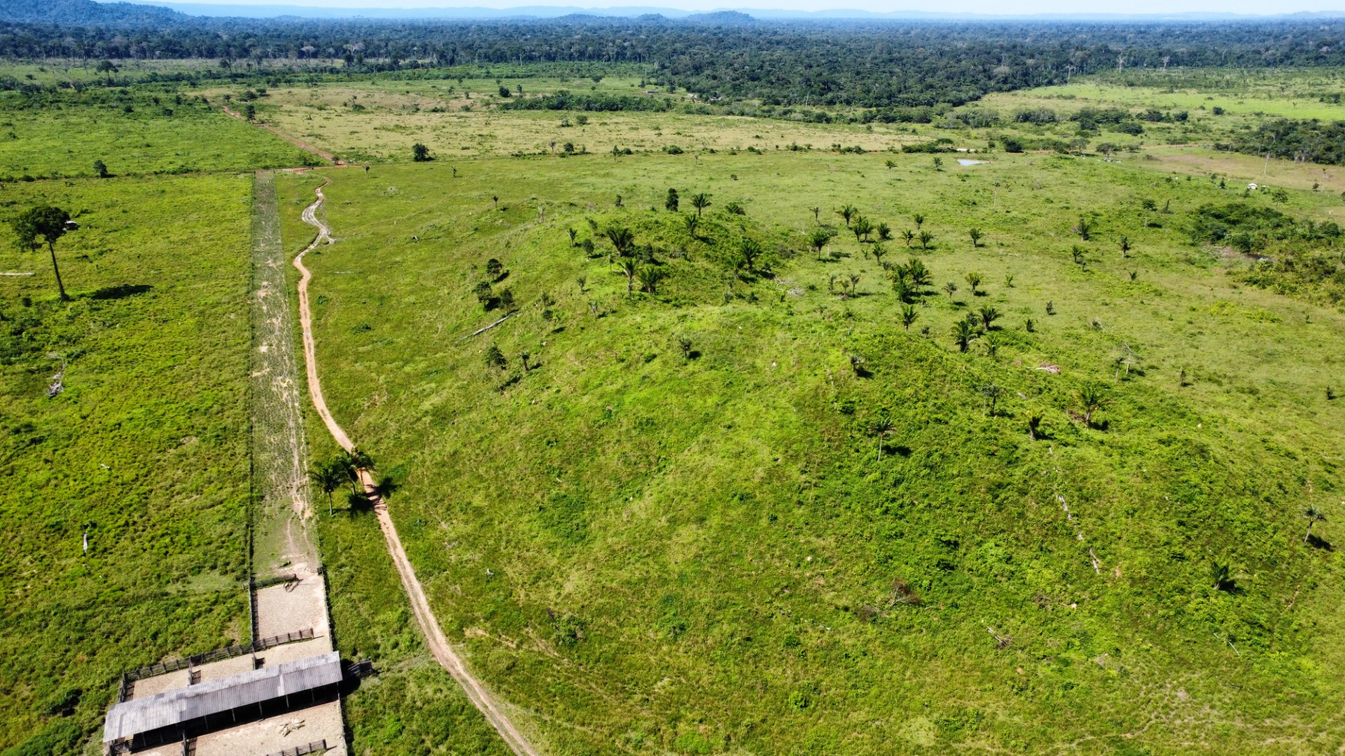 Foto do imóvel: Fazenda à Venda, 900 Alq MGem Centro  - São Félix do Xingu