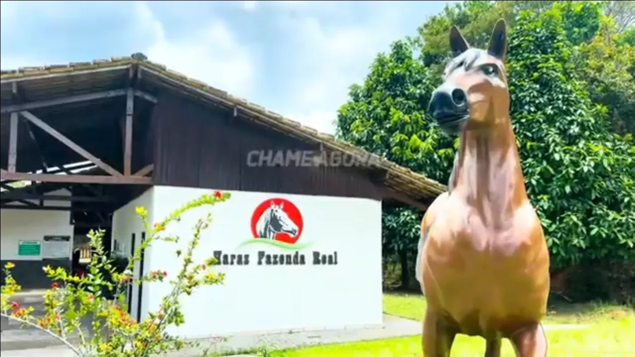 Imagem Terreno em Condomínio à Venda, 924 m² em Santa Rosa - Simões Filho