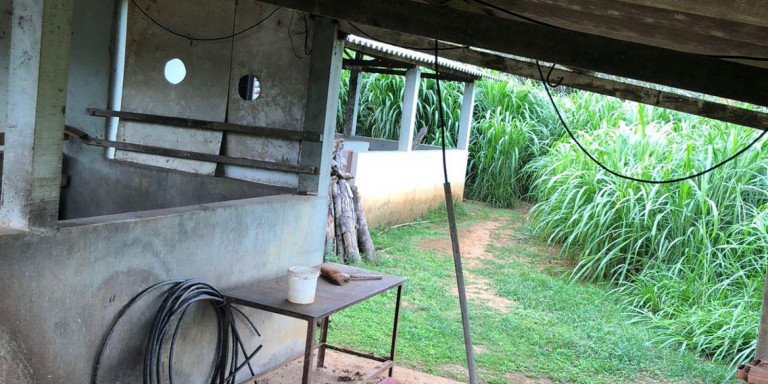 Imagem Chácara com 4 Quartos à Venda,  em Centro - Santa Isabel