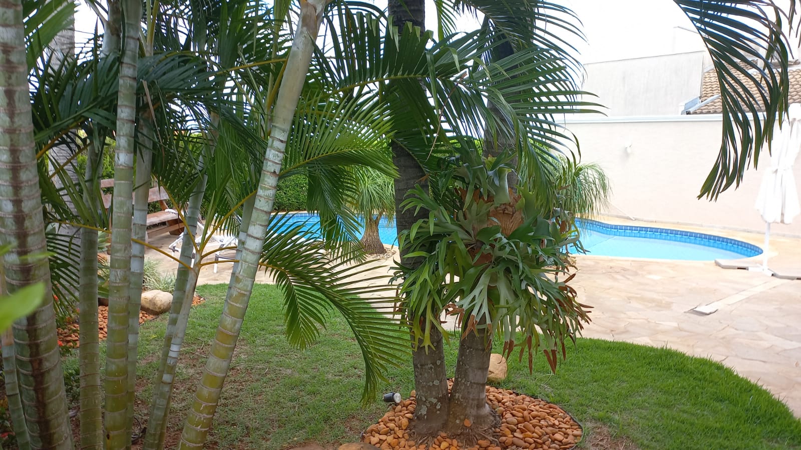 Foto do imóvel: Casa de Condomínio à Venda, 310 m² em Residencial Marcia - São José do Rio Preto