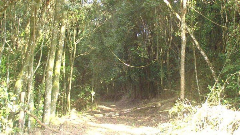 Imagem Chácara com 3 Quartos à Venda, 96.800 m² em Jardim Santa Esmeralda - Sorocaba