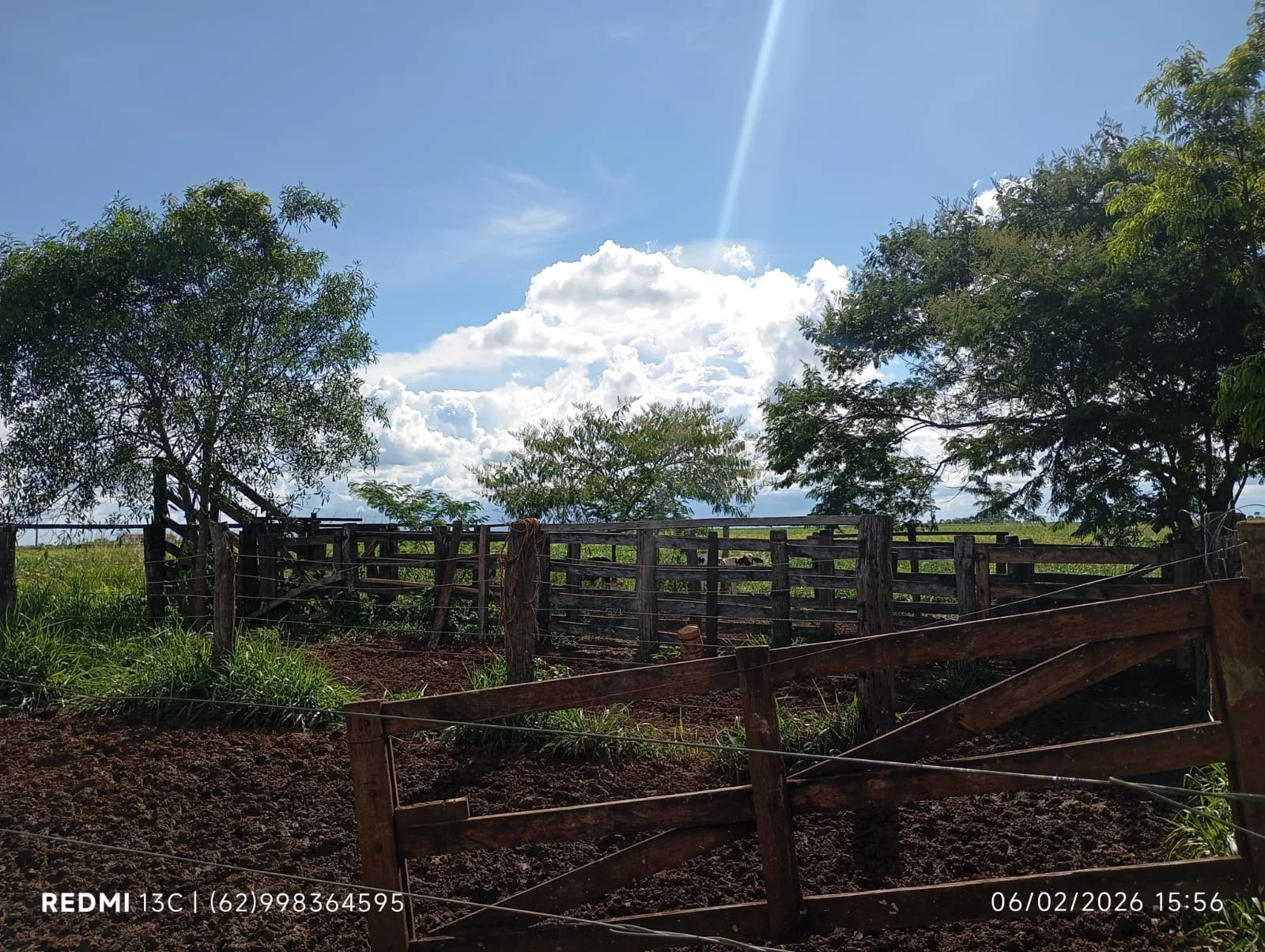 Fazenda à Venda, 6 Alq. GO em Acreúna - Acreúna