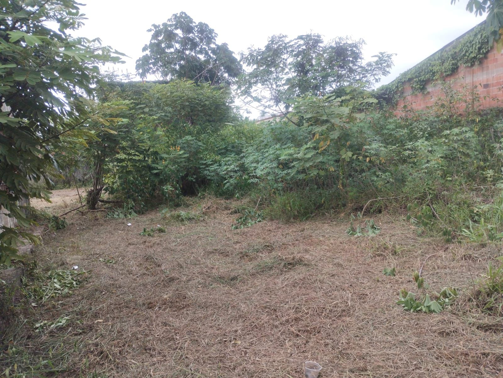 Imagem Terreno à Venda, 3 m²em Terra Firme - Belém