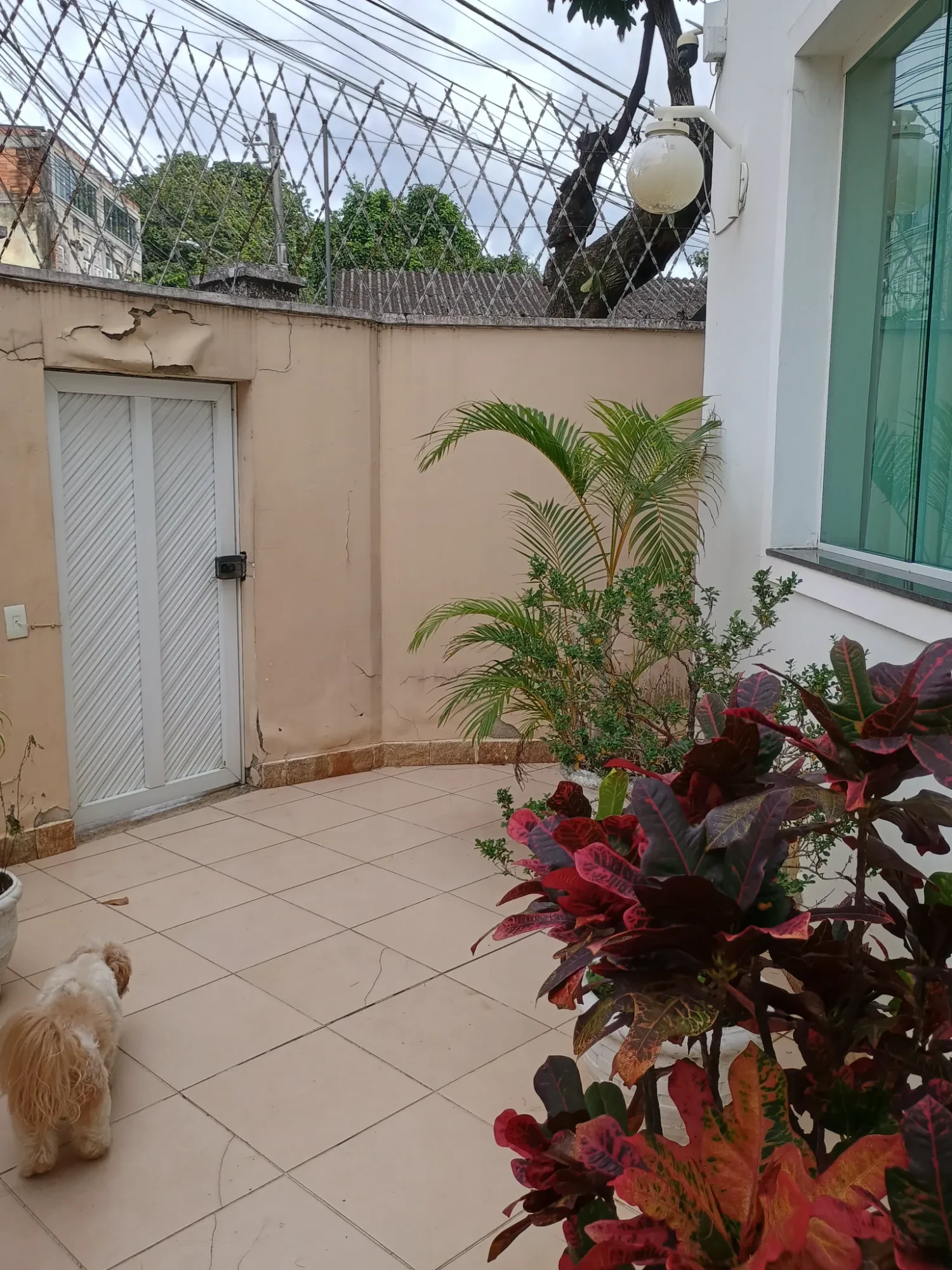 Imagem Casa com 2 Quartos à Venda, 119 metros em Praça da Bandeira - Rio de Janeiro