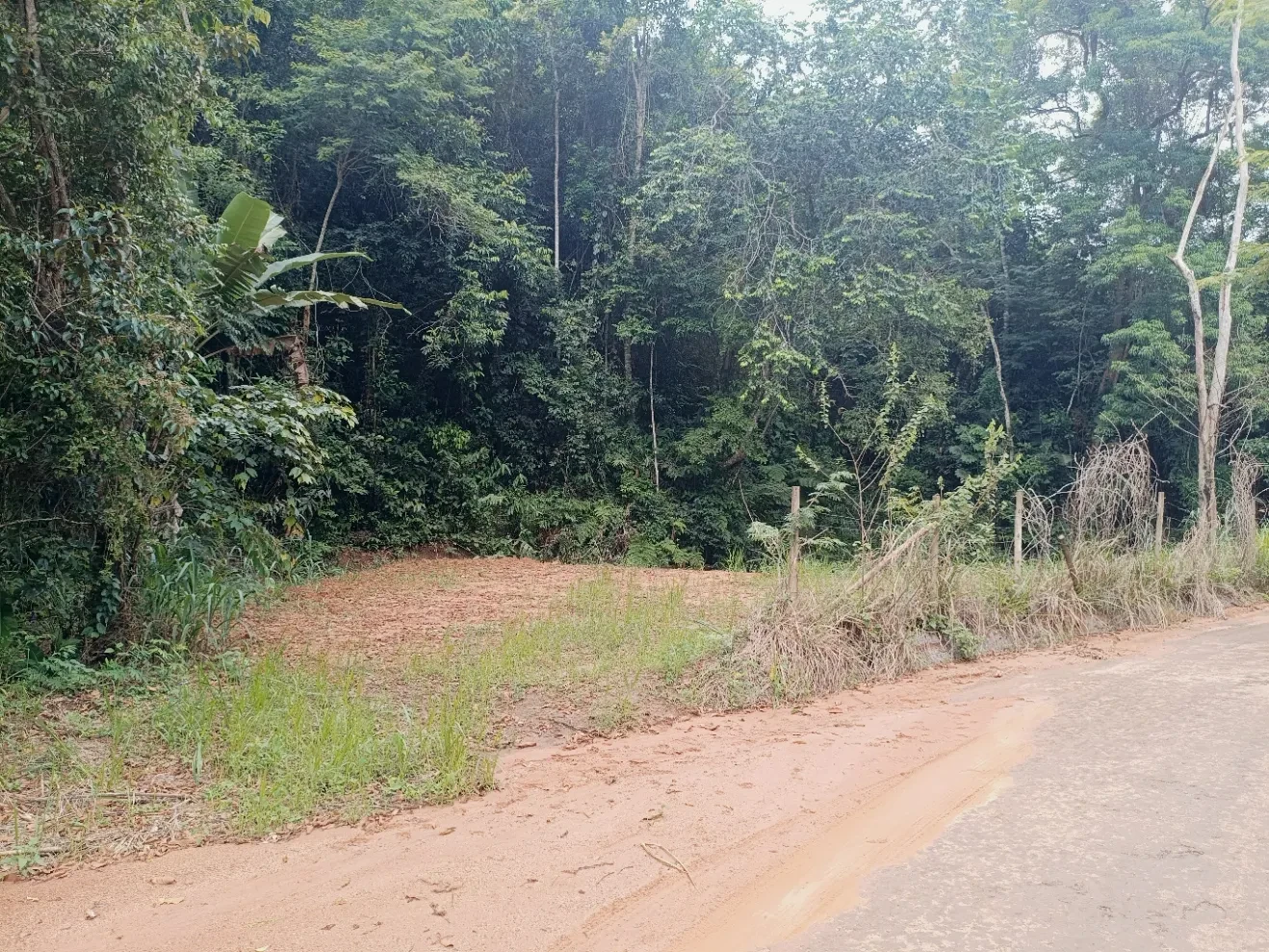 Imagem Chácara à Venda, 20000 metros em Santa Leopoldina - Santa Leopoldina
