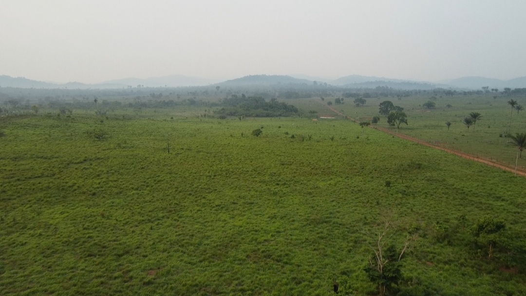 Foto do imóvel: Fazenda à Venda, 1 m²em Centro  - São Félix do Xingu