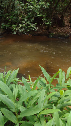 Imagem Terreno à Venda, 1.000 m² em Centro - Atibaia