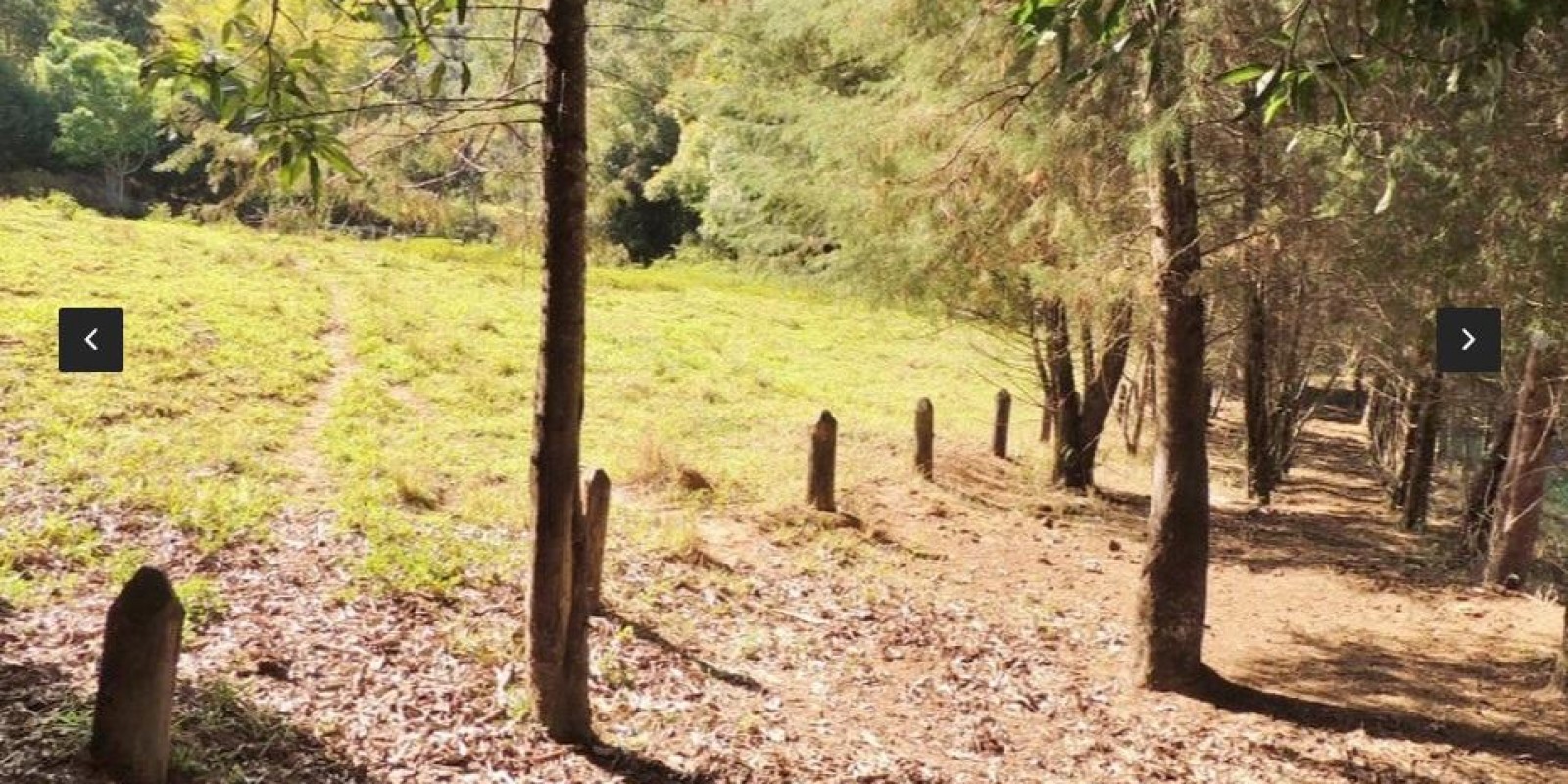 Imagem Chácara com 8 Quartos à Venda,  em Centro - Santa Isabel