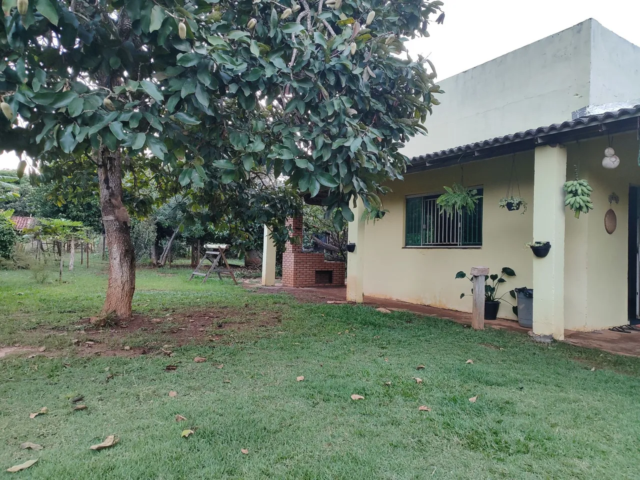 Imagem Chácara com 4 Quartos à Venda, 5.000 m² em Chácaras Marajoara - Luziânia