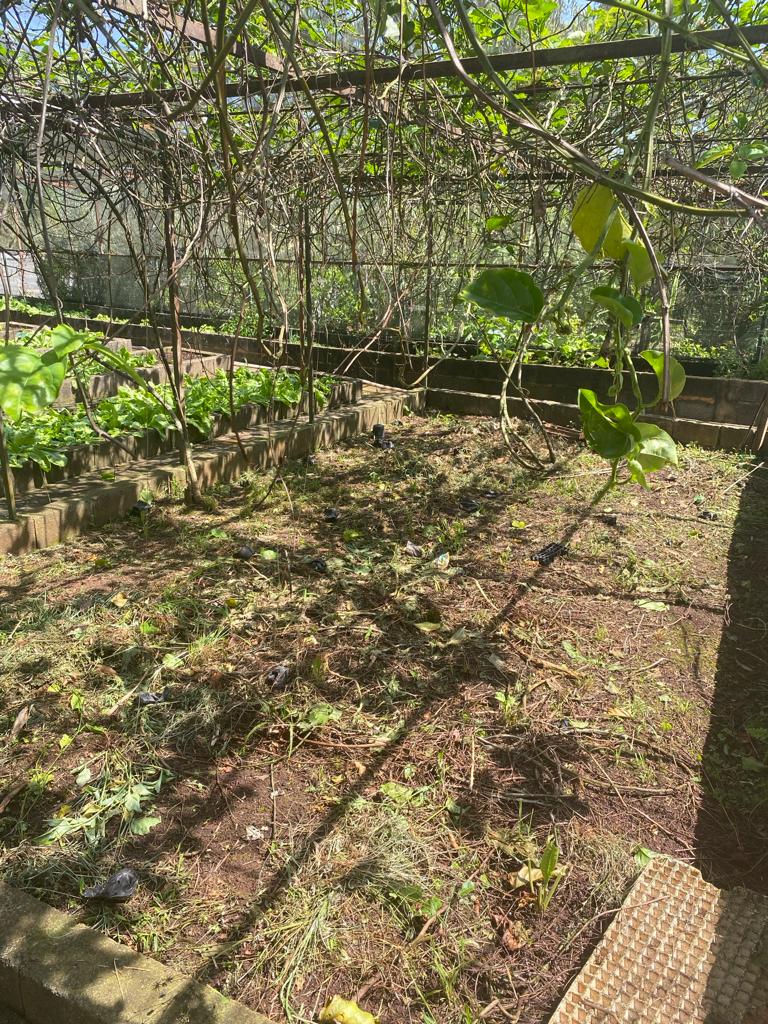 Imagem Chácara à Venda, 2 m²em Portal Pirapora - Salto de Pirapora