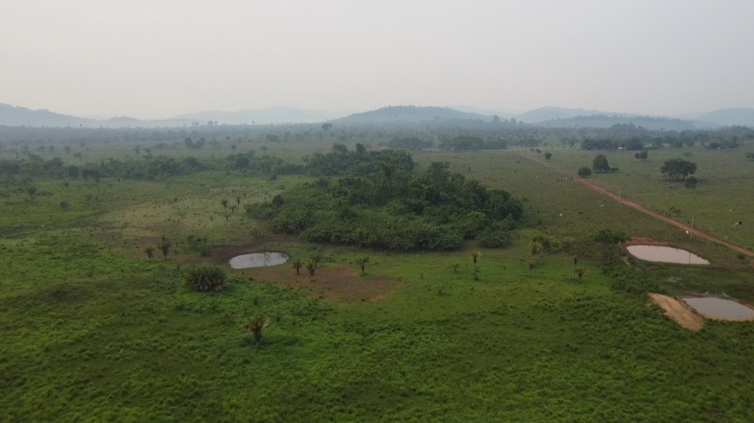 Foto do imóvel: Fazenda à Venda, 1 m²em Centro  - São Félix do Xingu