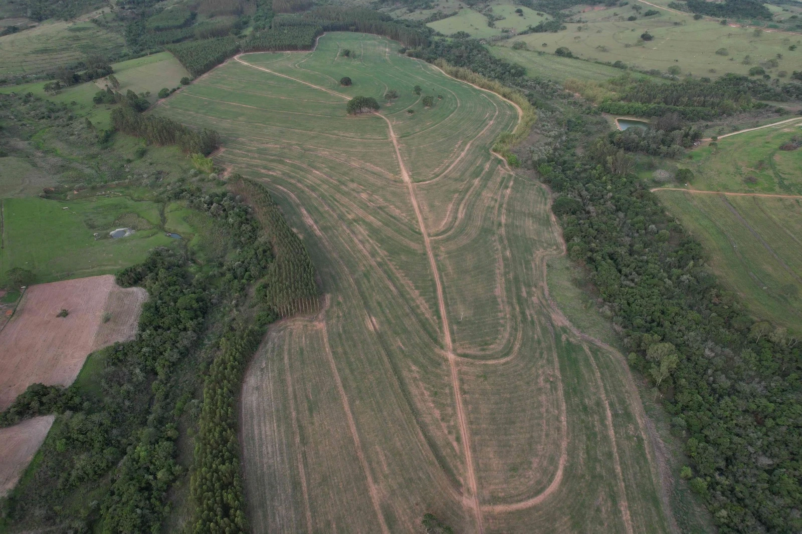 Imagem Fazenda à Venda, 138 HA em Área Rural de Echaporã - Echaporã